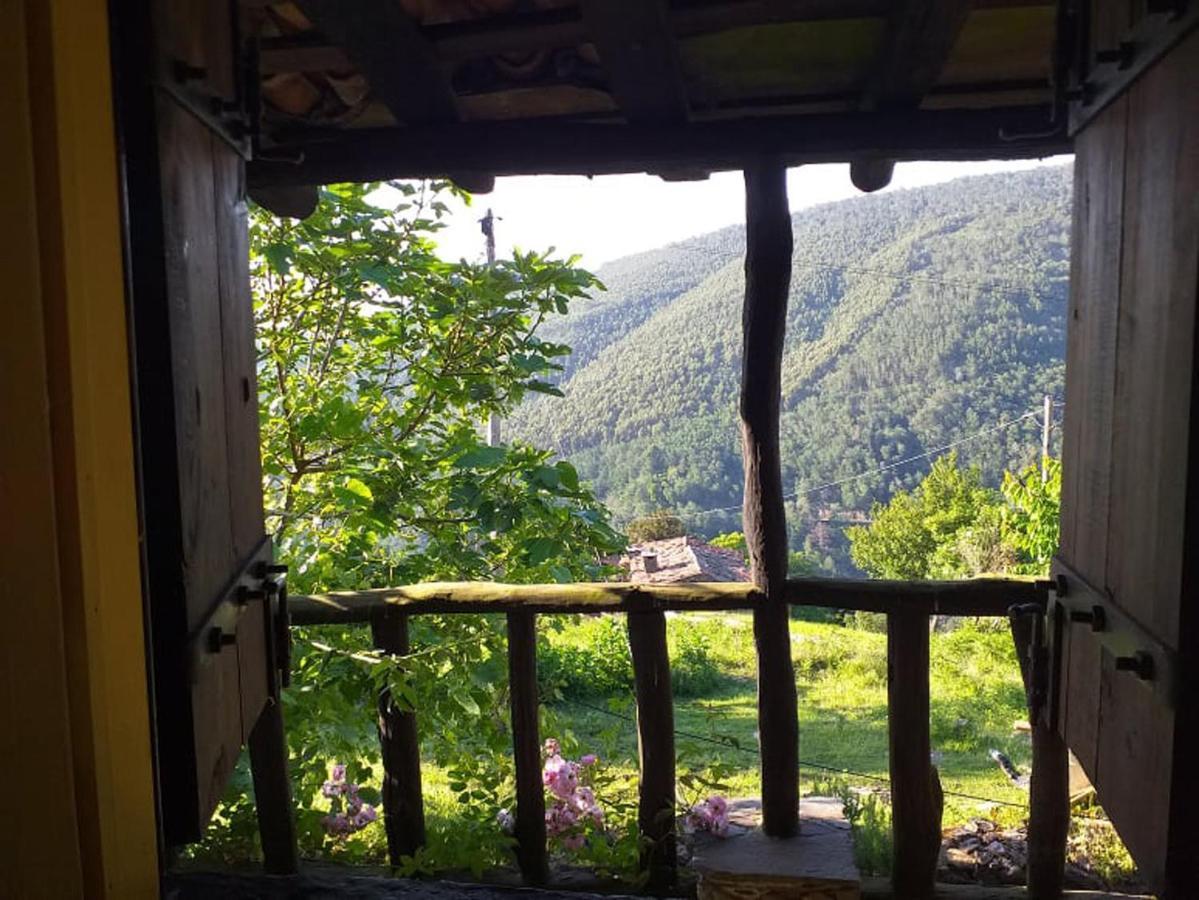 Casa Dos Livros