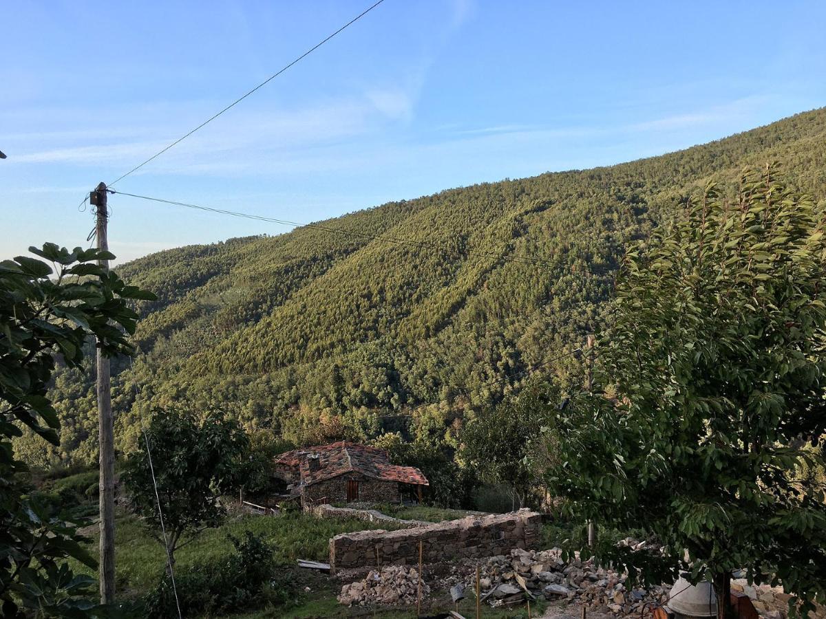 Casa Dos Livros Hébergement de vacances Talasnal